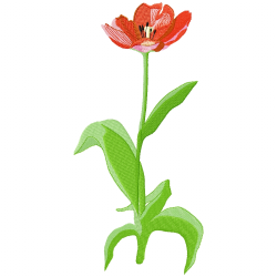 Flowers Embroidery Design 6 Flowers Embroidery Design 6